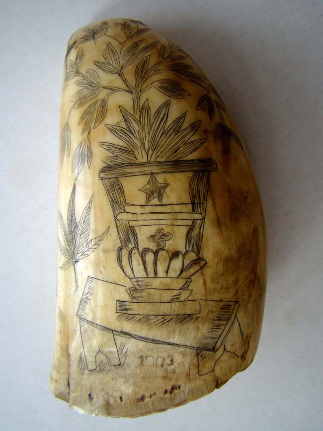 A 19th century scrimshawed whale's tooth featuring American Naval hero Commodore Stephen Decatur (1779-1820) circa 1845 — image 2